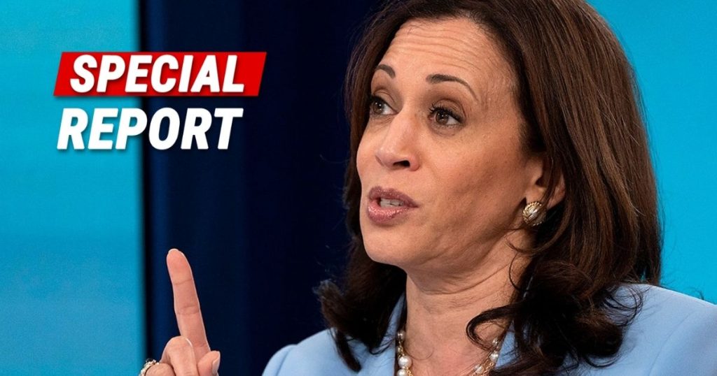 Think Tank Criticizes Biden-Harris Administration for Expanding Medicaid to Illegal Aliens