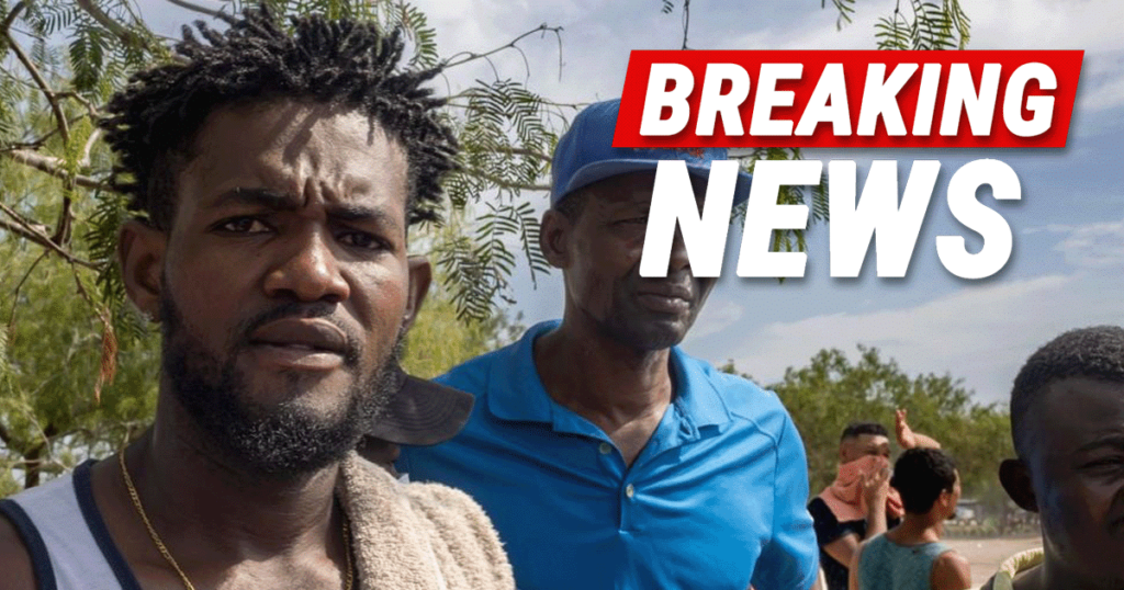 Flood of Migrants Send Crime Skyrocketing in Springfield….